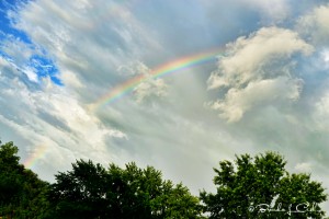 Rainbow and Trees